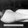US D-77 mélységintegráló lebegőanyag mintavevő, 2. kép