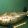 US P-63 mélységintegráló lebegőanyag mintavevő